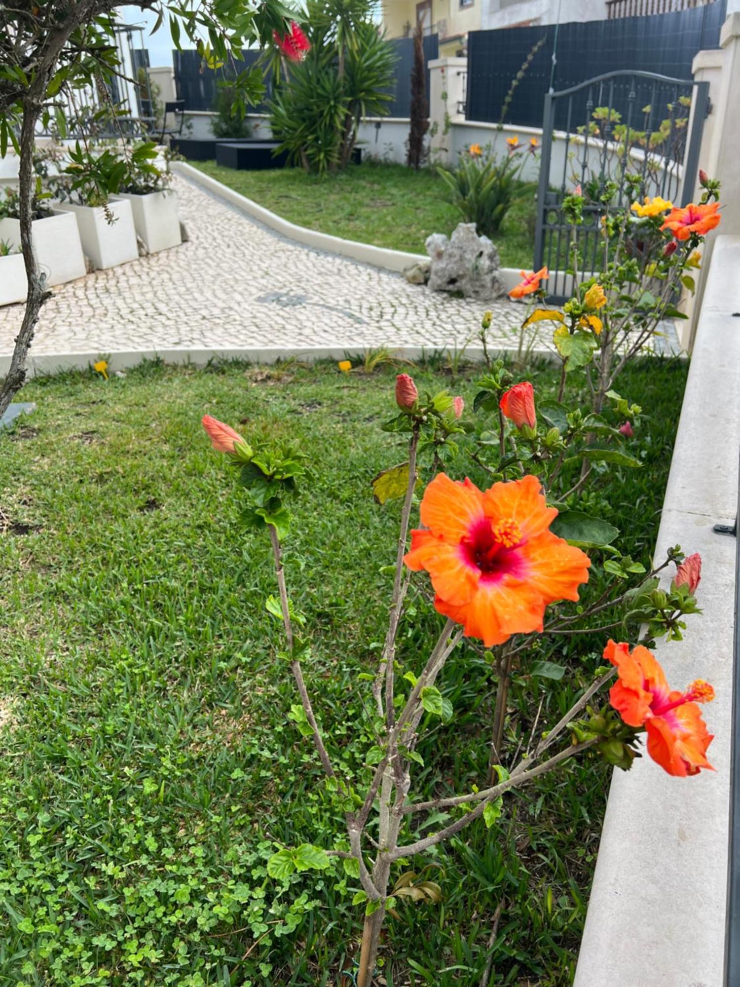 Nazare Oasis Suites מראה חיצוני תמונה